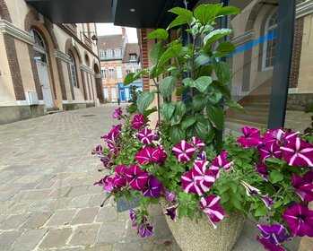 Rue pavée dans Chateauneuf en Thymerais